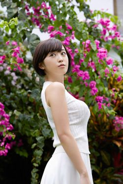 宝拉x
