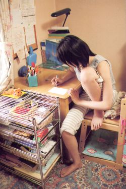 洪氏姐妹